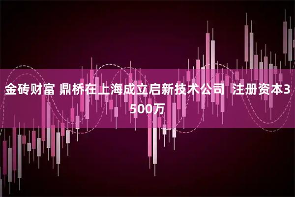金砖财富 鼎桥在上海成立启新技术公司  注册资本3500万