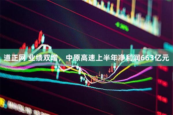 道正网 业绩双增，中原高速上半年净利润663亿元