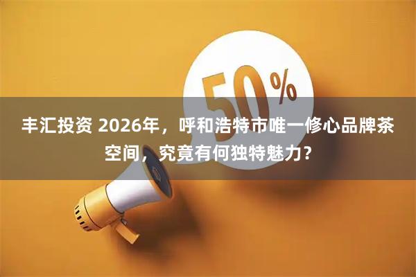 丰汇投资 2026年，呼和浩特市唯一修心品牌茶空间，究竟有何独特魅力？